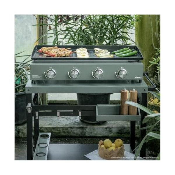 Découvrez notre analyse de la plancha gaz Livoo DOC325 offrant 10 kW de puissance pour régaler 10-12 convives. Une solution parfaite pour vos repas conviviaux en extérieur.