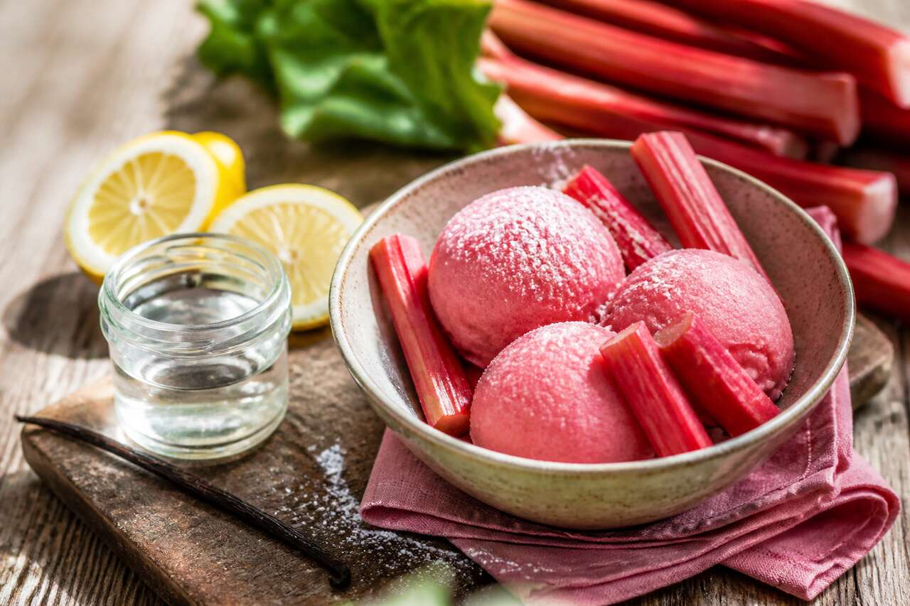 Recette de sorbet à la rhubarbe maison